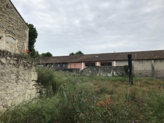 photo 2020-05-16 FL (69)