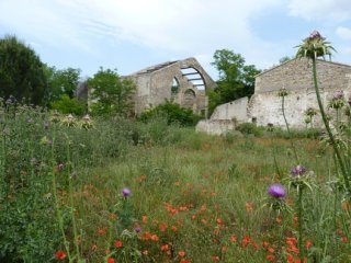 photo 2020-05-16 Gwenael (3)