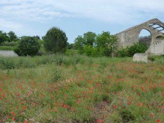 photo 2020-05-16 Gwenael (4)