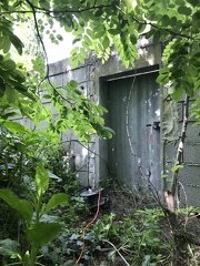 photo 2020-05-16 FL (52)