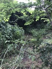 photo 2020-05-16 FL (70)