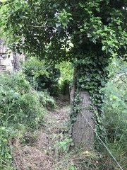 photo 2020-05-16 FL (71)