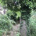 photo 2020-05-16 FL (71)