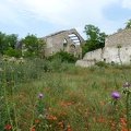 photo 2020-05-16 Gwenael (3)