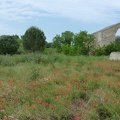 photo 2020-05-16 Gwenael (4)