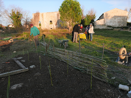chantier potager 190120 MAS (33) album