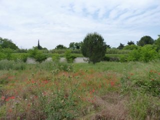photo 2020-05-16 Gwenael (5)
