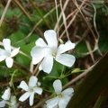 photo 2020-05-16 Gwenael (6)
