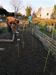 chantier potager 190120 MAS (30) album