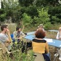 IMG 6595