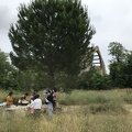 IMG 6590