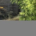 IMG 6700