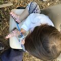 IMG 6681
