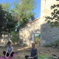 IMG 7331