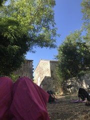 IMG 7334