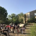 IMG 7550