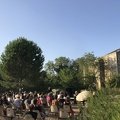 IMG 7552