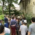 IMG 1903
