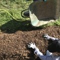 IMG 0717