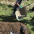 IMG 0718