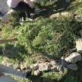 IMG 0725