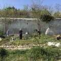 IMG 0726