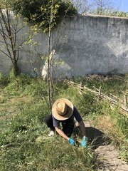 IMG 0731