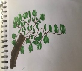 IMG 7533