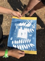 IMG 7529
