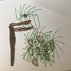 IMG 7534