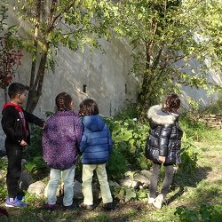 2021_11_16_Atelier automne classe CP
