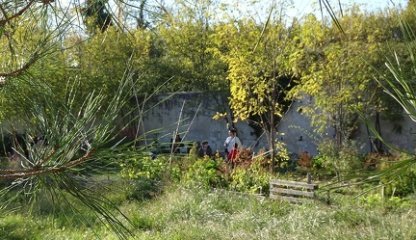 DSC03295