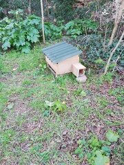 IMG 4090