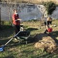 IMG 4029