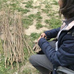 IMG 4615