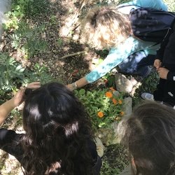2022_04_26_Atelier printemps_classe CP