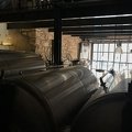 IMG 5943