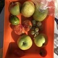 IMG 6885
