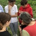 IMG 6897