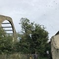 IMG 6894
