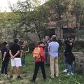 IMG 6971
