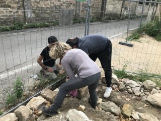 IMG 7247