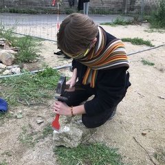 IMG 7251