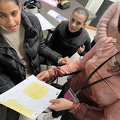 IMG 7777