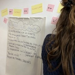 IMG 7855
