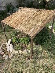 IMG 1388