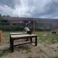la guinguette 