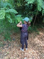 IMG 1736
