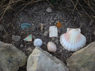 DSC00724