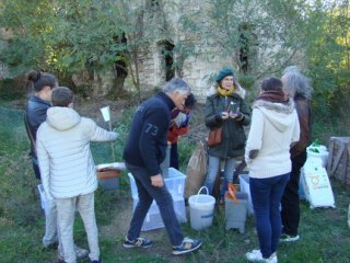 DSC00809